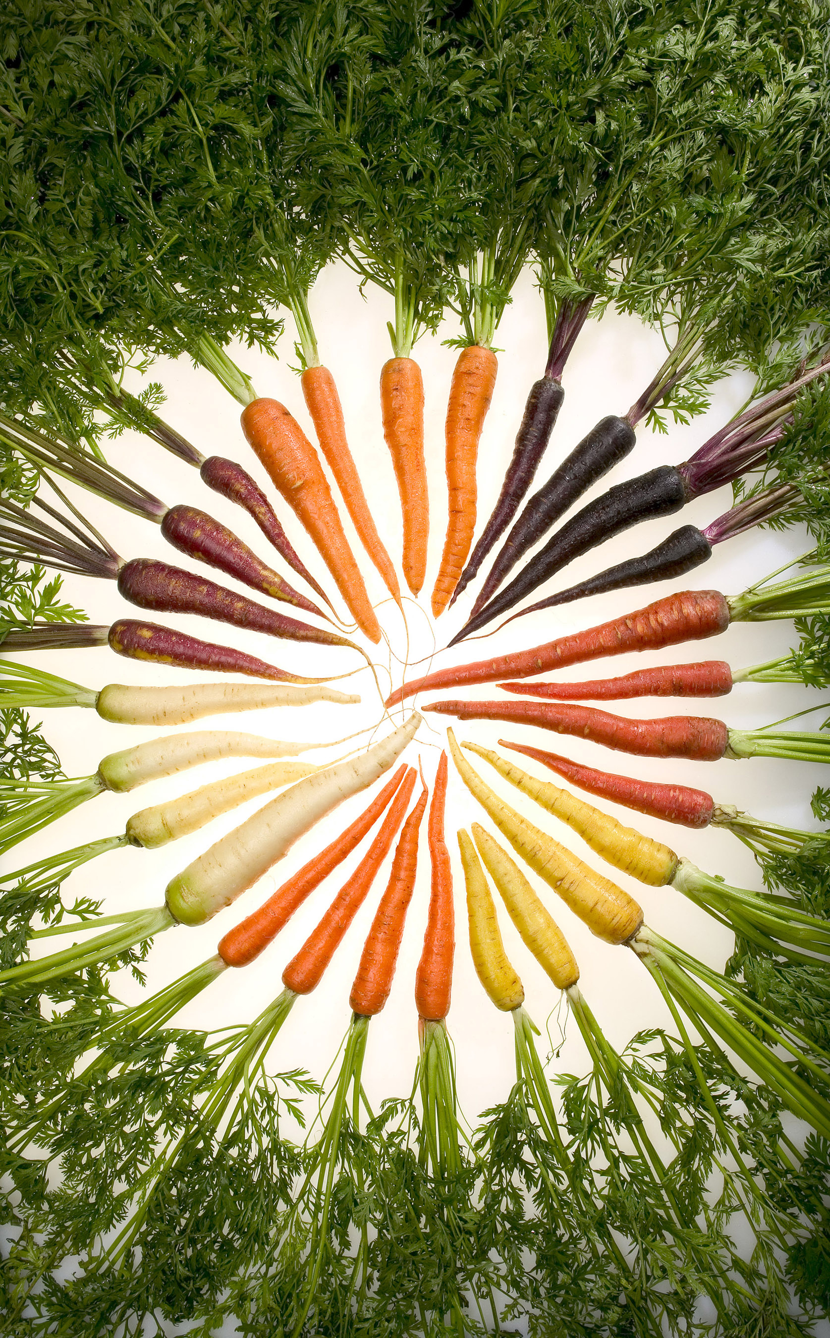 carrots.jpg